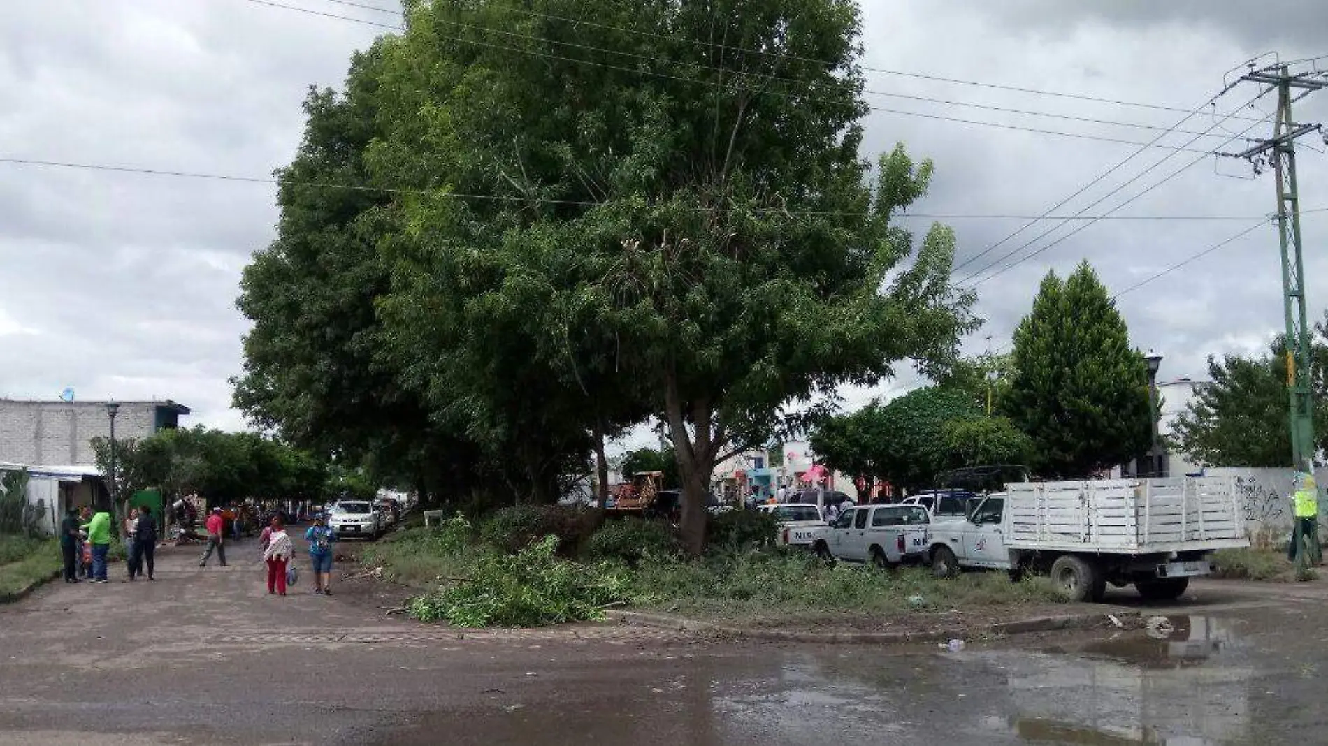 La Secretaría de Desarrollo Municipal no dará apoyo a las 15 familias que señalan no